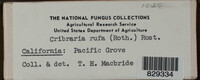 Image Associated With the Occurence